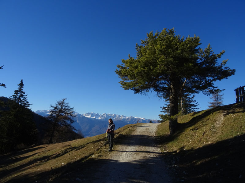 Corno di Tres - Corno del Cervo